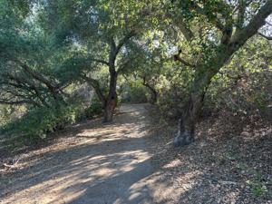 Signage at the entrance of Whiting Ranch Wilderness Park